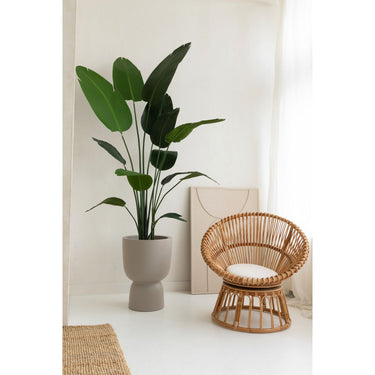 Strelitzia Kunstplant 210cm