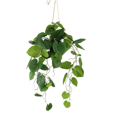 Neocheiropteres Kunst hangplant 80cm