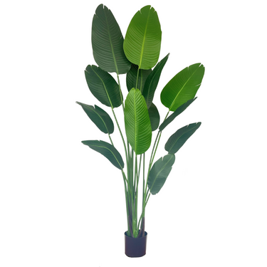 Strelitzia Kunstplant 180cm