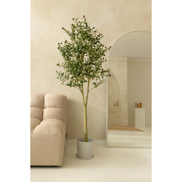 Pre-order Kunst Olijfboom 180cm (eind mei)