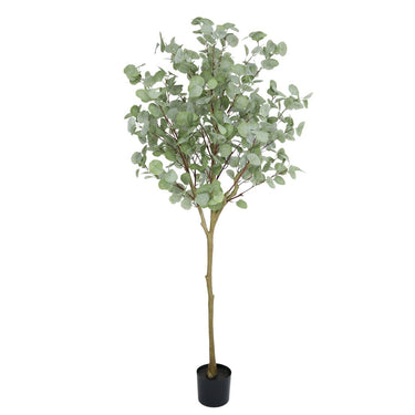 Eucalyptus Kunstboom 160cm