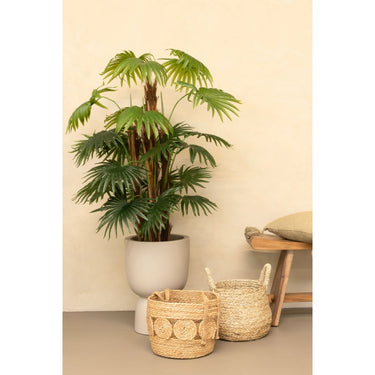 Kunst Waaierpalm 150cm