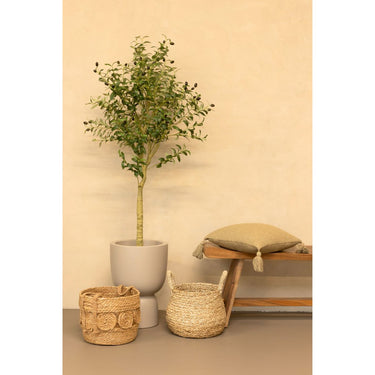 Kunst Olijfboom 150cm