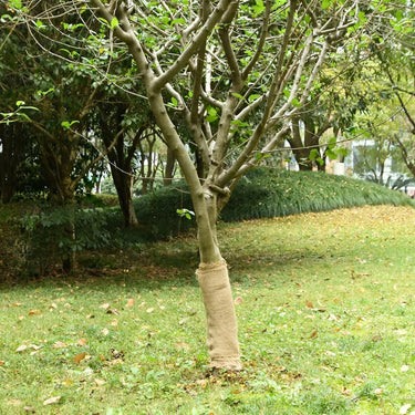 Jute rol 200 g/m² 0,25x10 m 100% jute