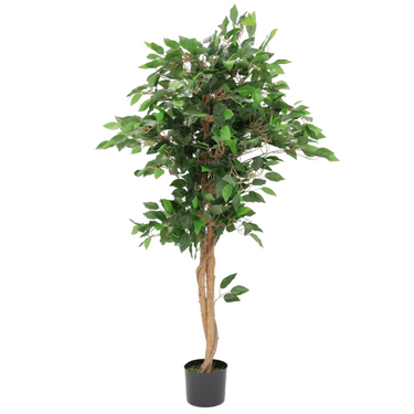 Kunst Ficus 130cm