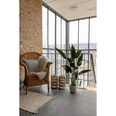 Strelitzia Kunstplant Met Bloem 110cm